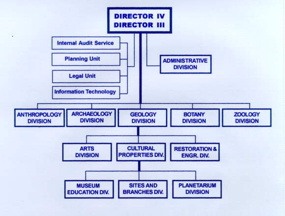 Museum Organizational Chart